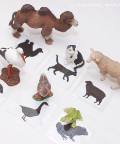 Silhouetten erkennen