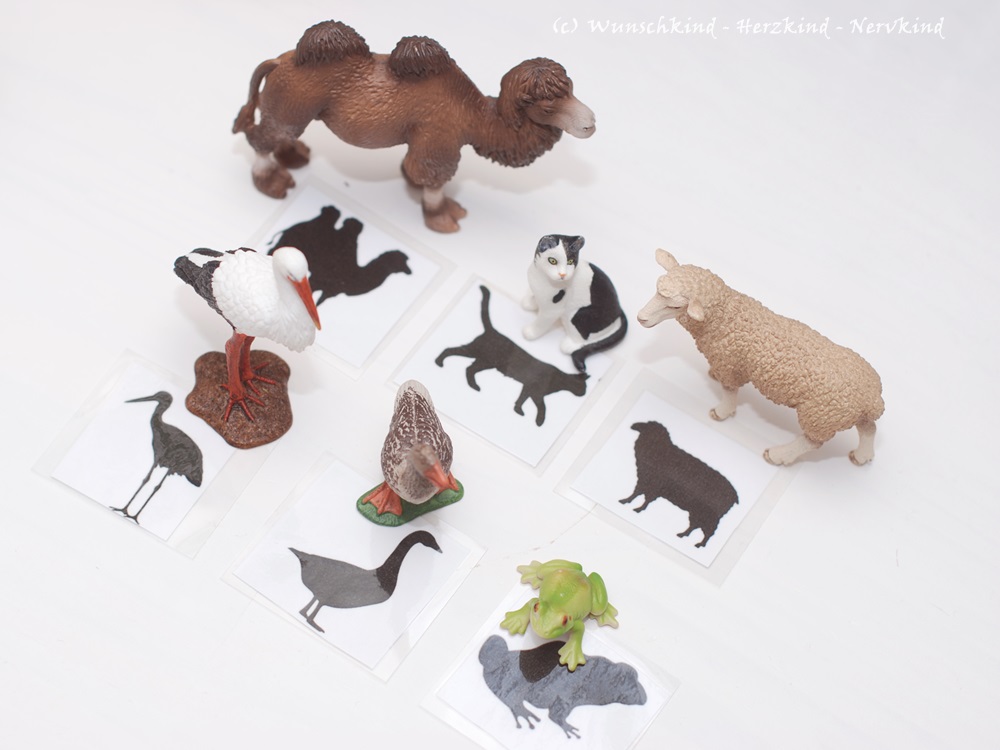 Silhouetten erkennen