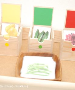 Zuordnung Obst und Gemüse nach Farben