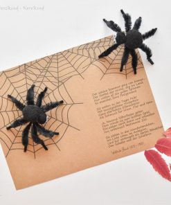 Spinnen und Wilhelm Busch