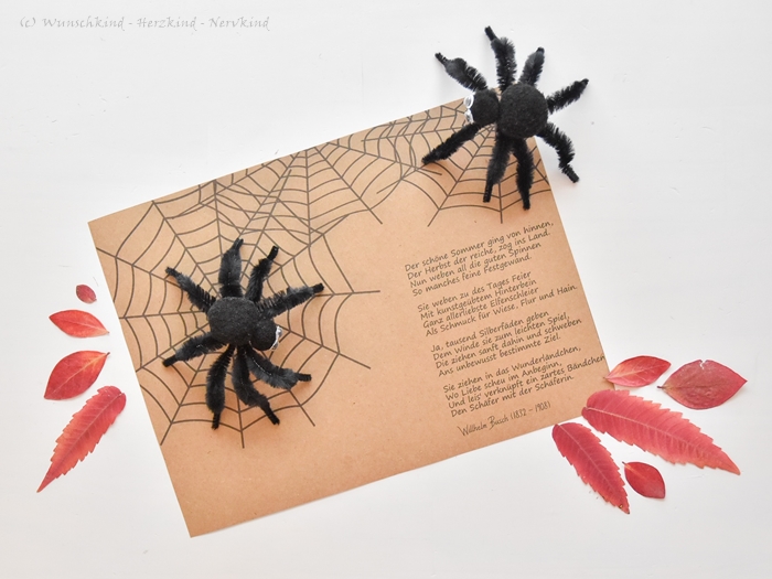 Spinnen und Wilhelm Busch