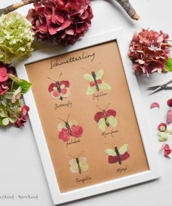 Hortensien-Schmetterlinge