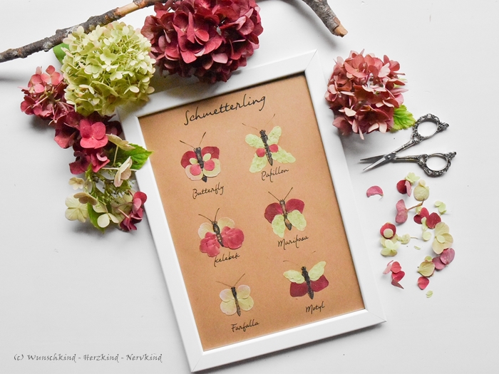 Hortensien-Schmetterlinge